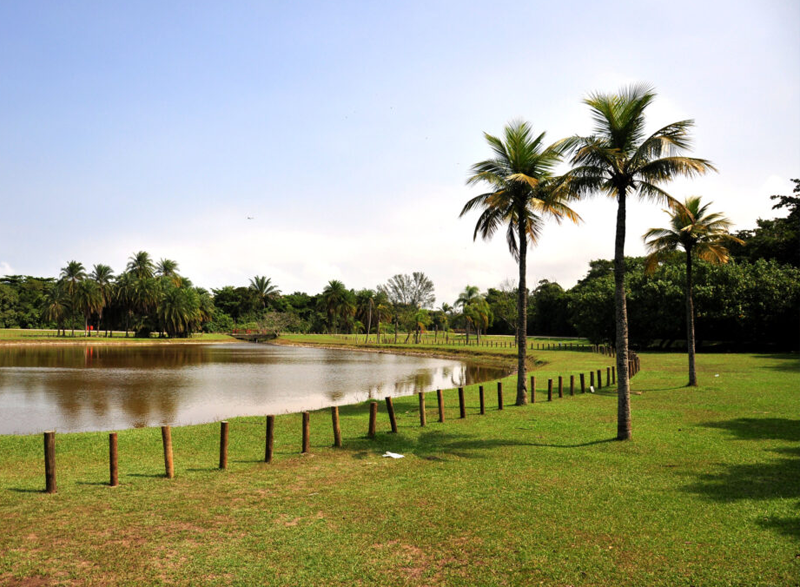 BOSQUE DA BARRA - 17 min